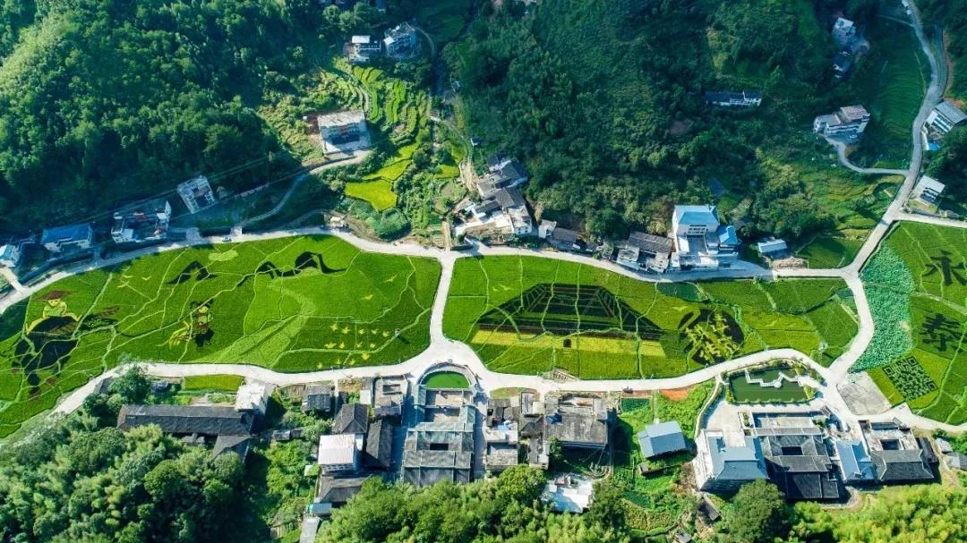 《關于擴大當前農(nóng)業(yè)農(nóng)村基礎設施建設投資的工作方案》全文發(fā)布！