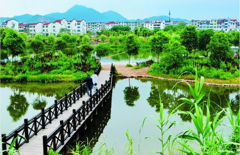 《中國環境報》頭版頭條：浙江構建降碳、減污、擴綠、增長整體智治體系