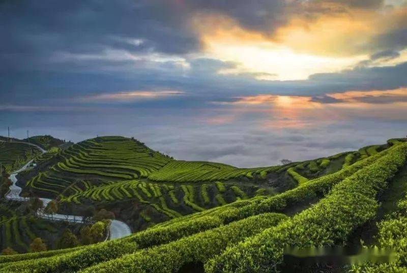 農(nóng)業(yè)農(nóng)村部：到2025年建設(shè)1000家國家級(jí)生態(tài)農(nóng)場(chǎng)