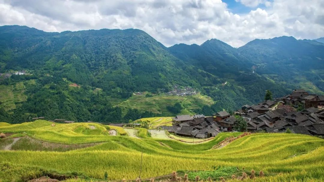 安徽：農(nóng)村黑臭水體整治，強化推進會落實